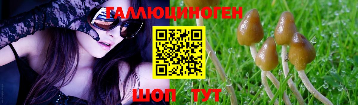 где можно купить наркотик  Вход с VPN  Ангарск  Галлюциногенные грибы Psilocybine cubensis 
